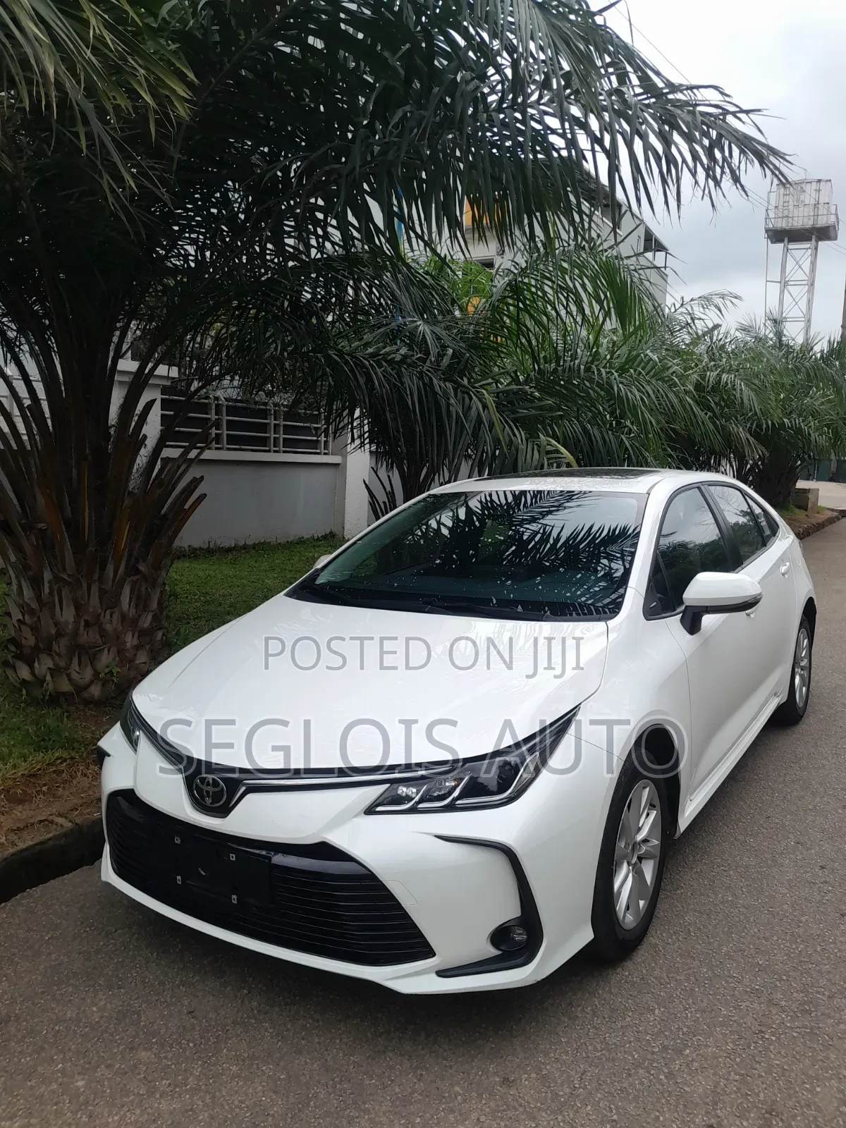 Toyota Corolla 2025 White