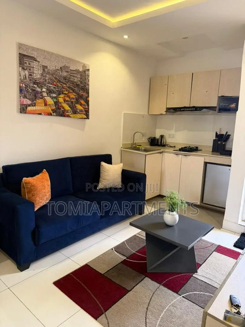 Cozy One 1 Bedroom Shortlet Apartment in Surulere