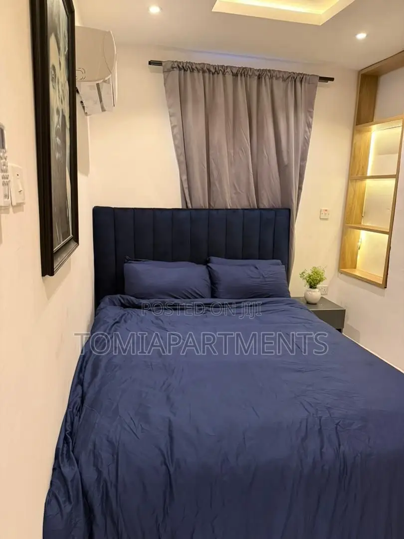 Cozy One 1 Bedroom Shortlet Apartment in Surulere