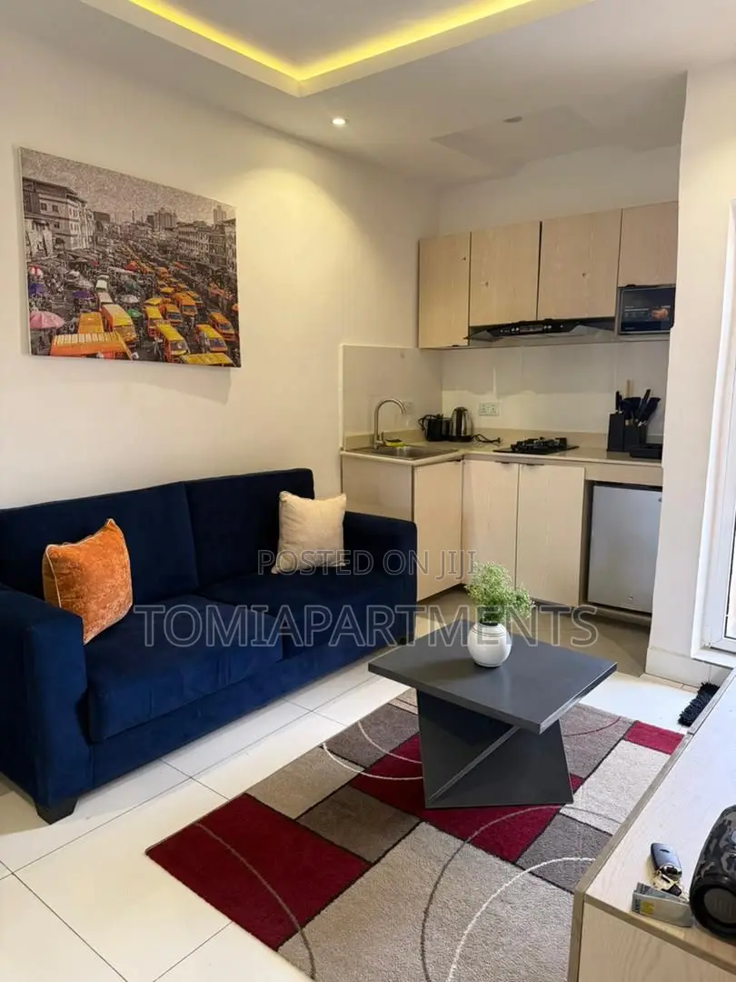 Cozy One 1 Bedroom Shortlet Apartment in Surulere