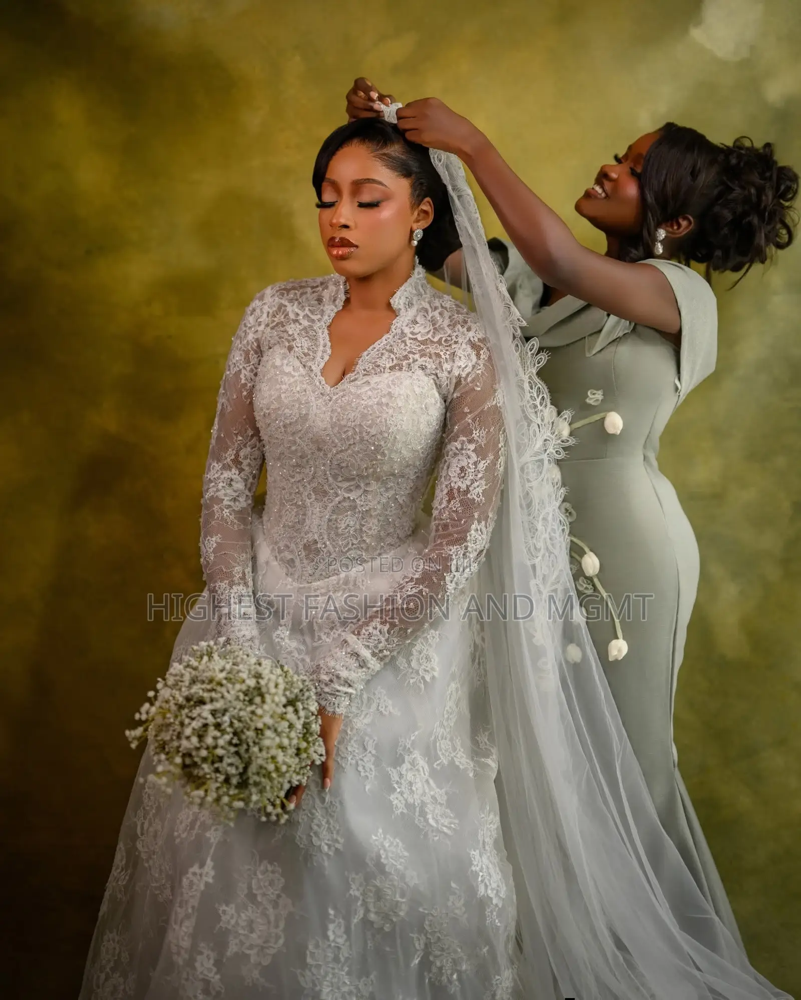 Premium Full Lace a-Line Wedding Dress + Veil
