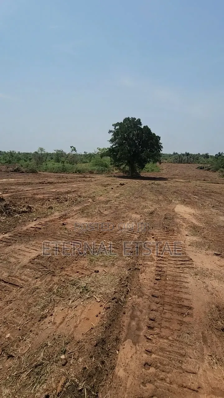 Fast Developing Affordable Estate in Enugu