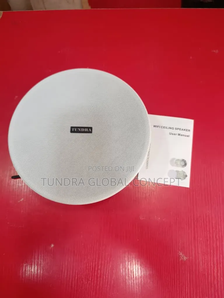 Tundra Single Smart Wifi Speaker