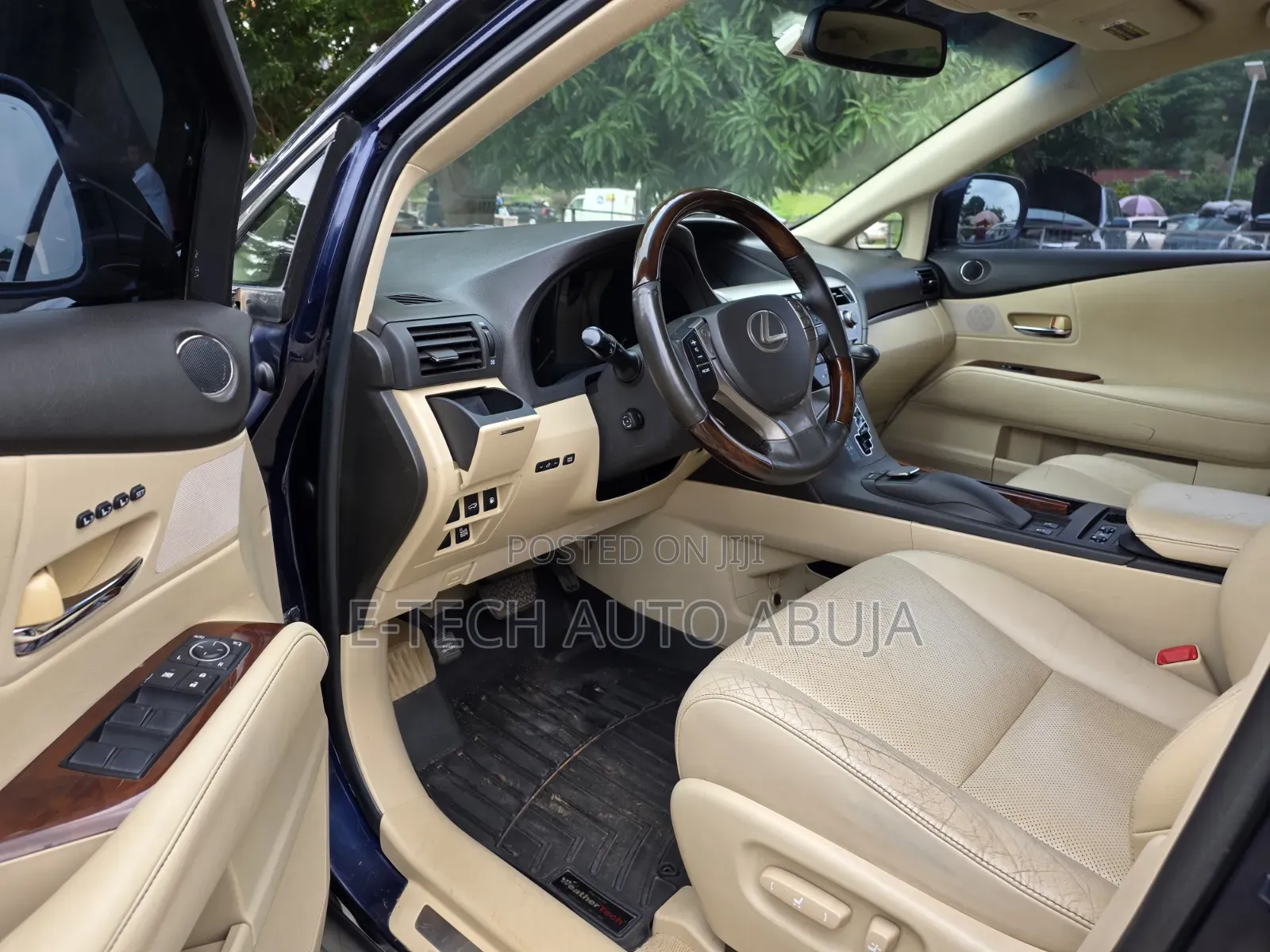 Lexus RX 2013 Blue