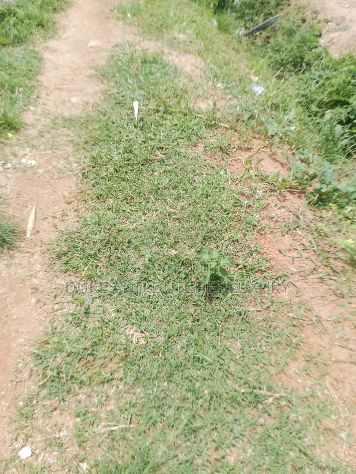 Land and Plots