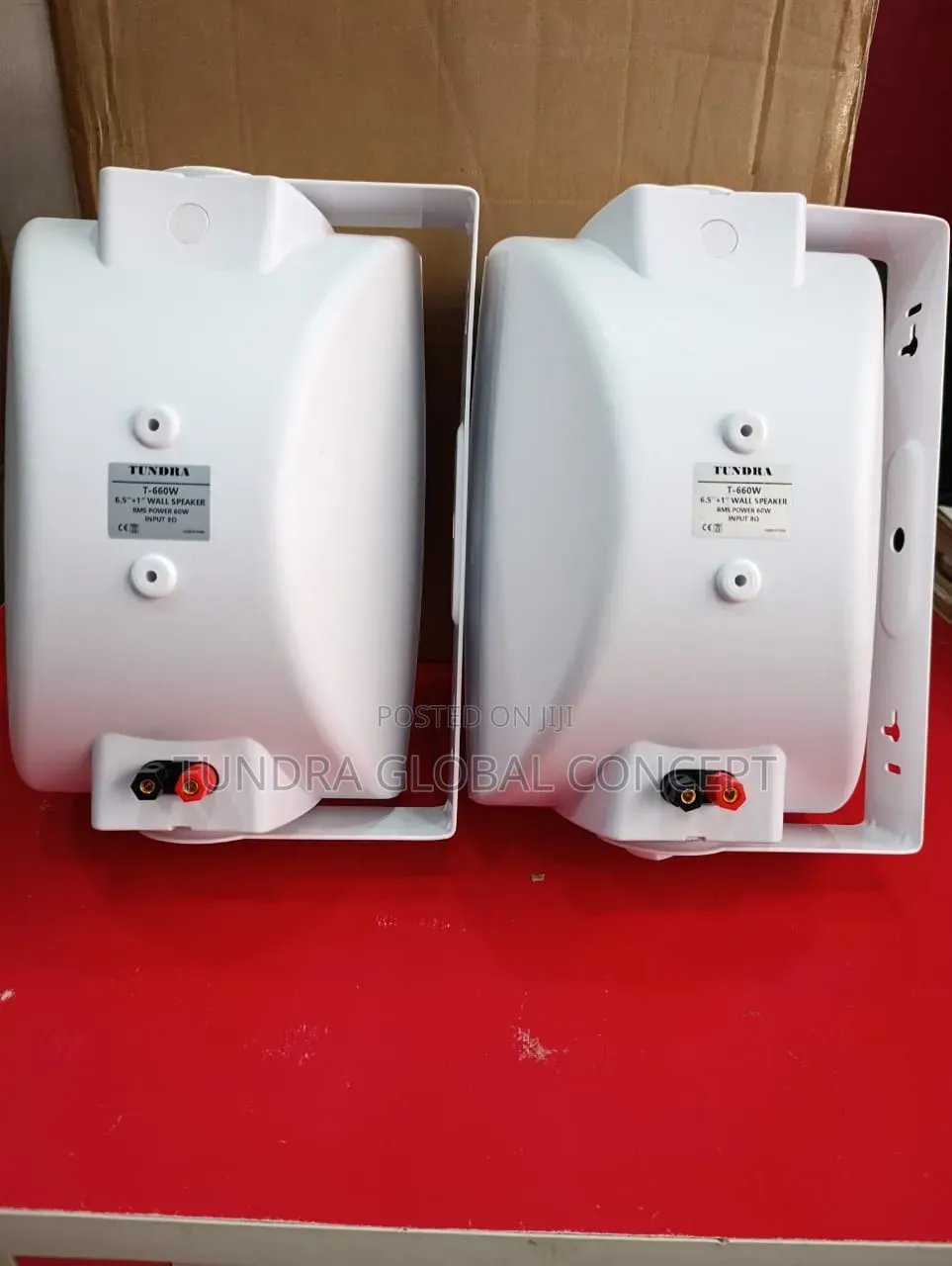 Tundra Wall Hanging Outdoor Speakers T-660