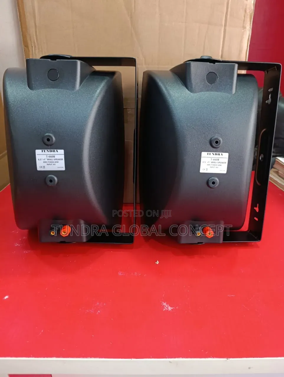 Tundra Wall Hanging Outdoor Speakers T-660