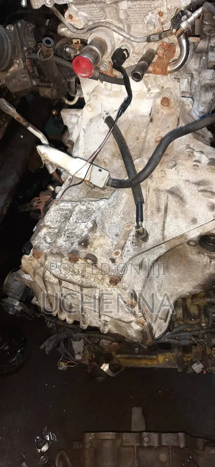 Automagic 9 Pin Gearbox