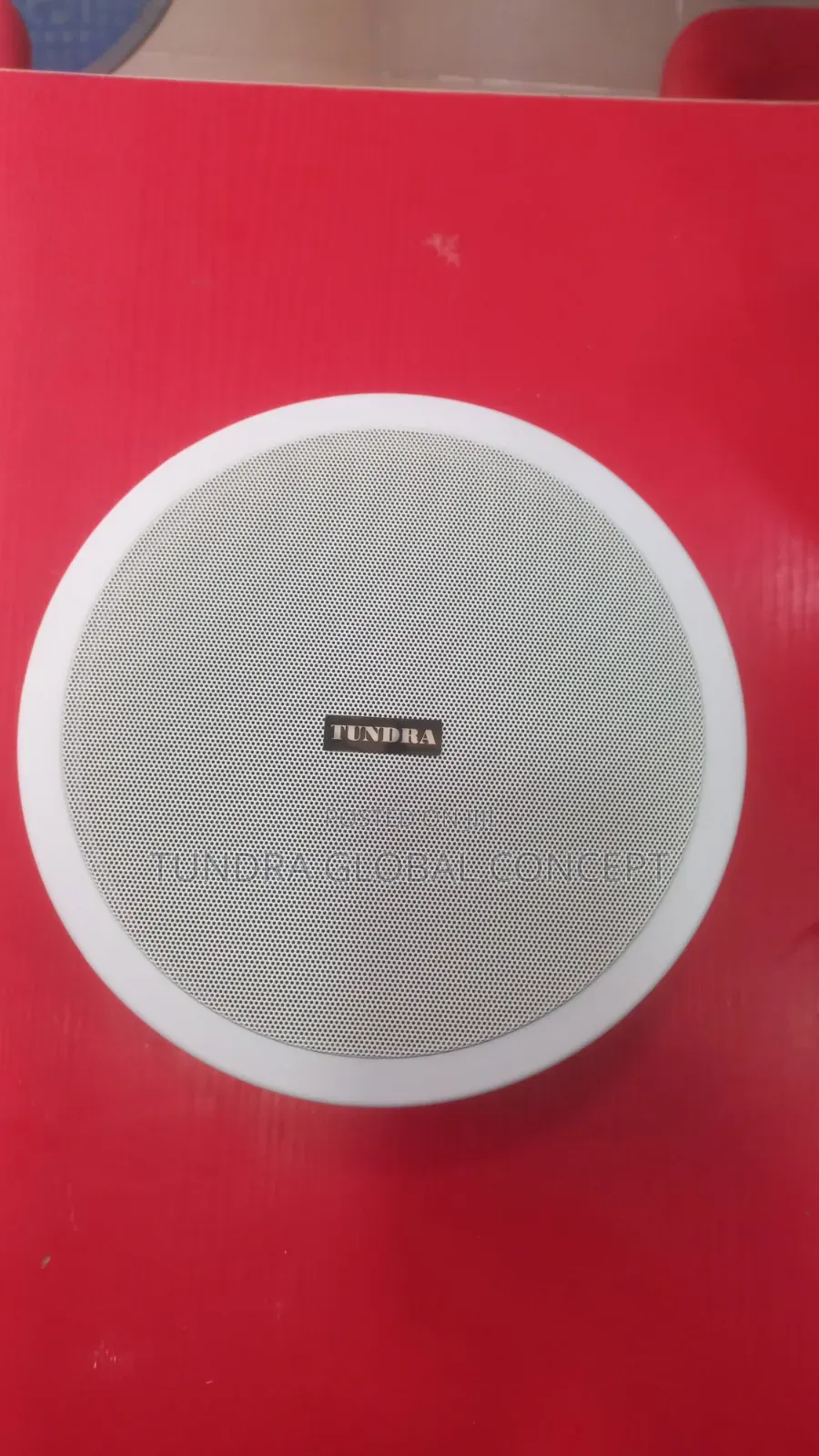 Tundra 20watts Single Bluetooth Speaker T-820bt
