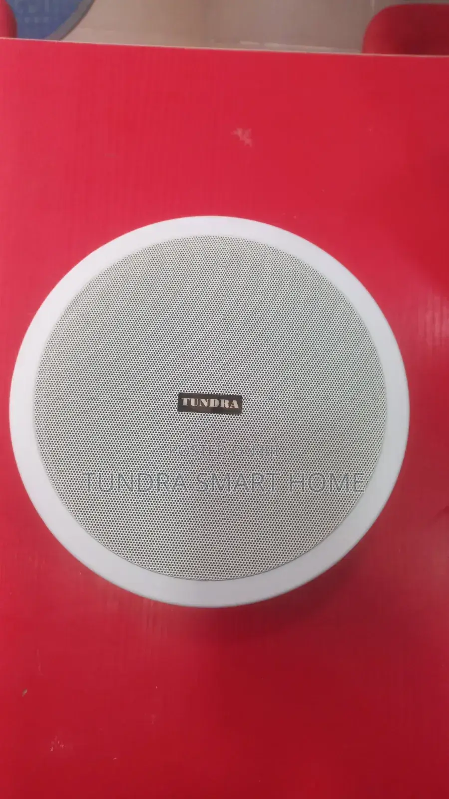Tundra 20watts Single Bluetooth Speaker T-820bt