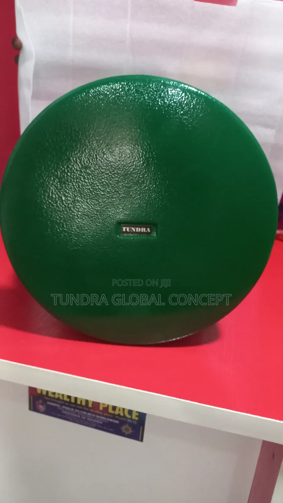 Tundra Floor Garden or Pool Side Speaker TGS-30
