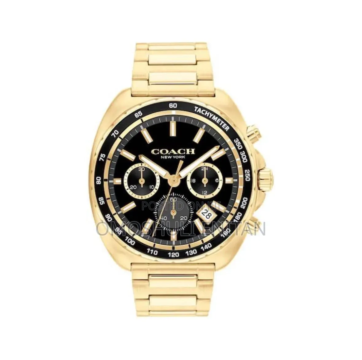 Coach Luxury Chain Watch