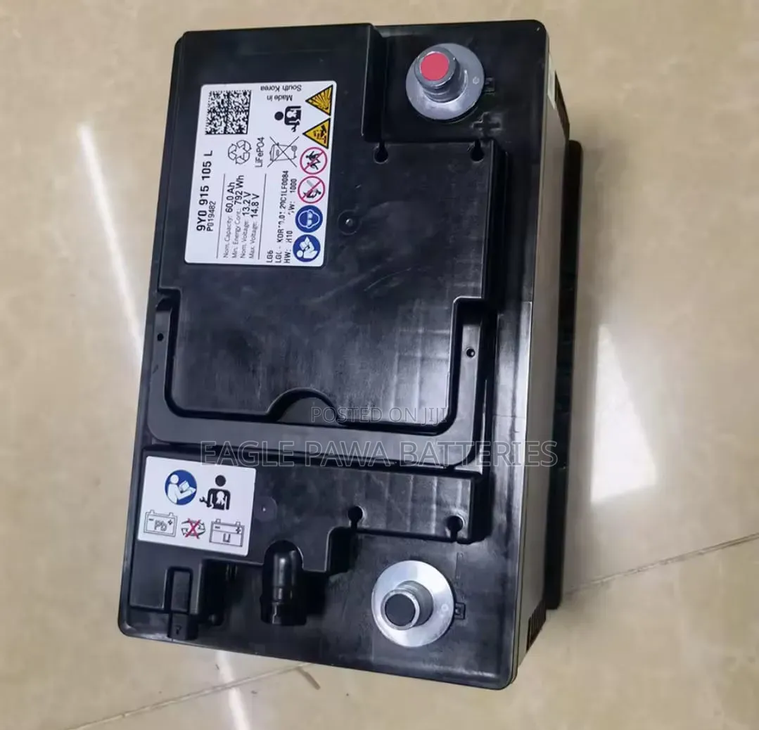Porsche Lithium Battery