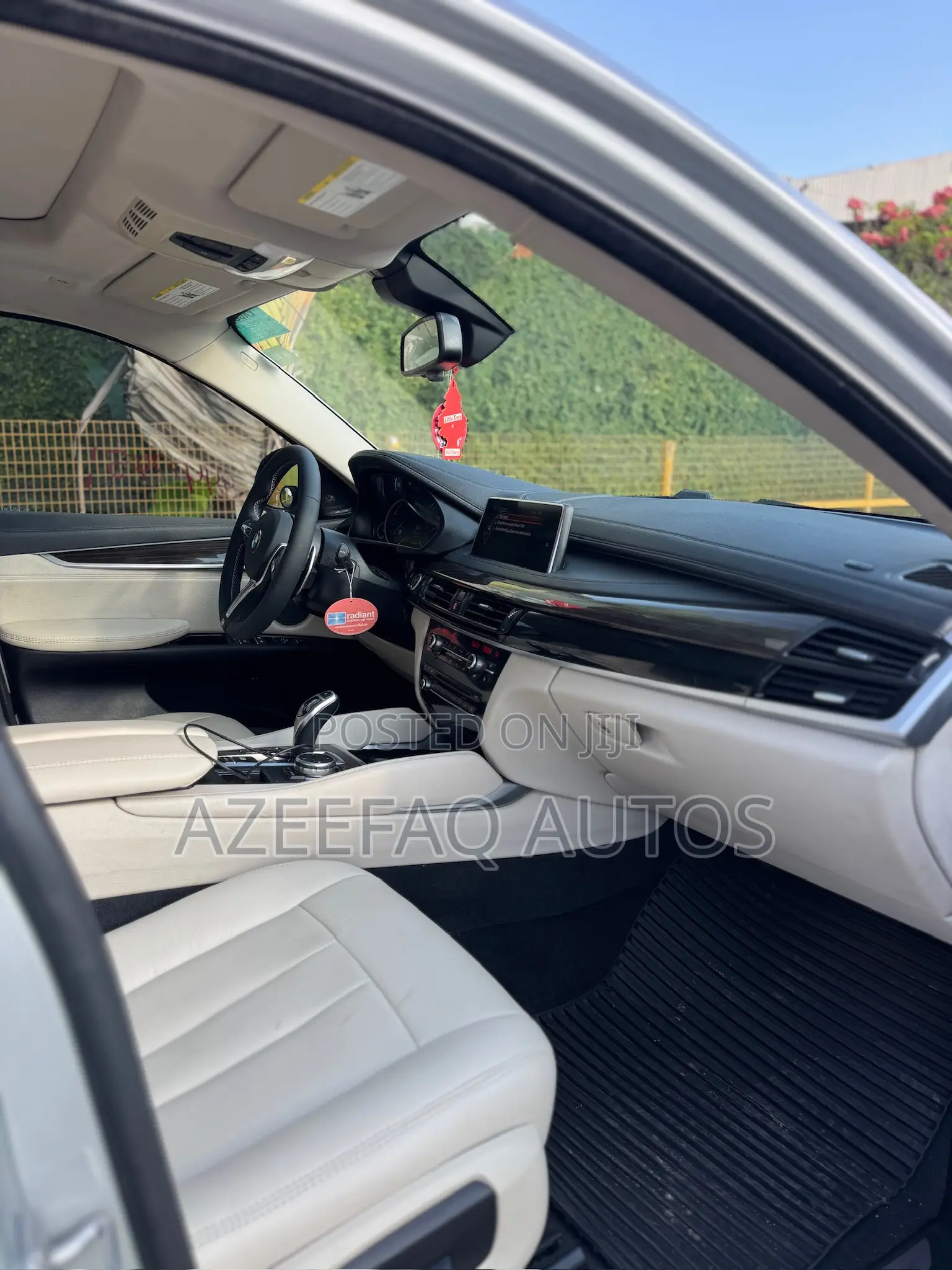BMW X6 xDrive35i Coupe 4x4 (3.0L 6cyl 8A) 2016 Silver