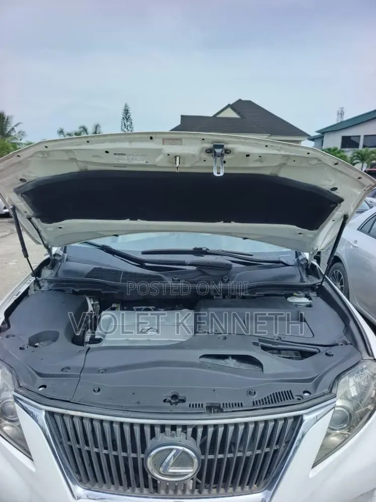 Lexus RX 2010 White
