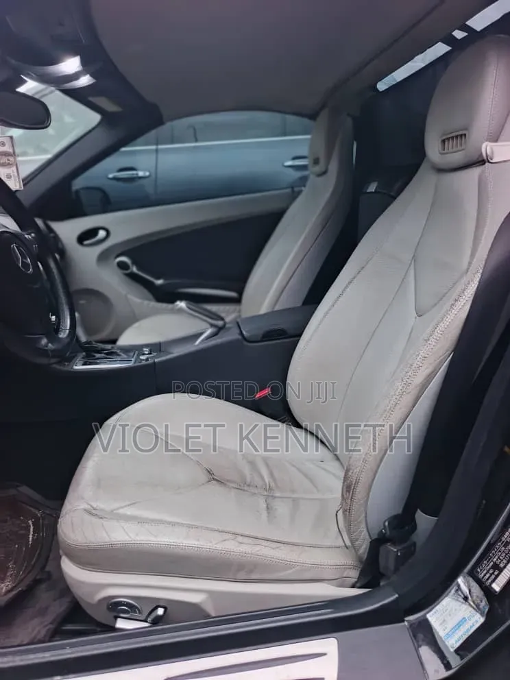 Mercedes-Benz SLK-Class 2010 Black