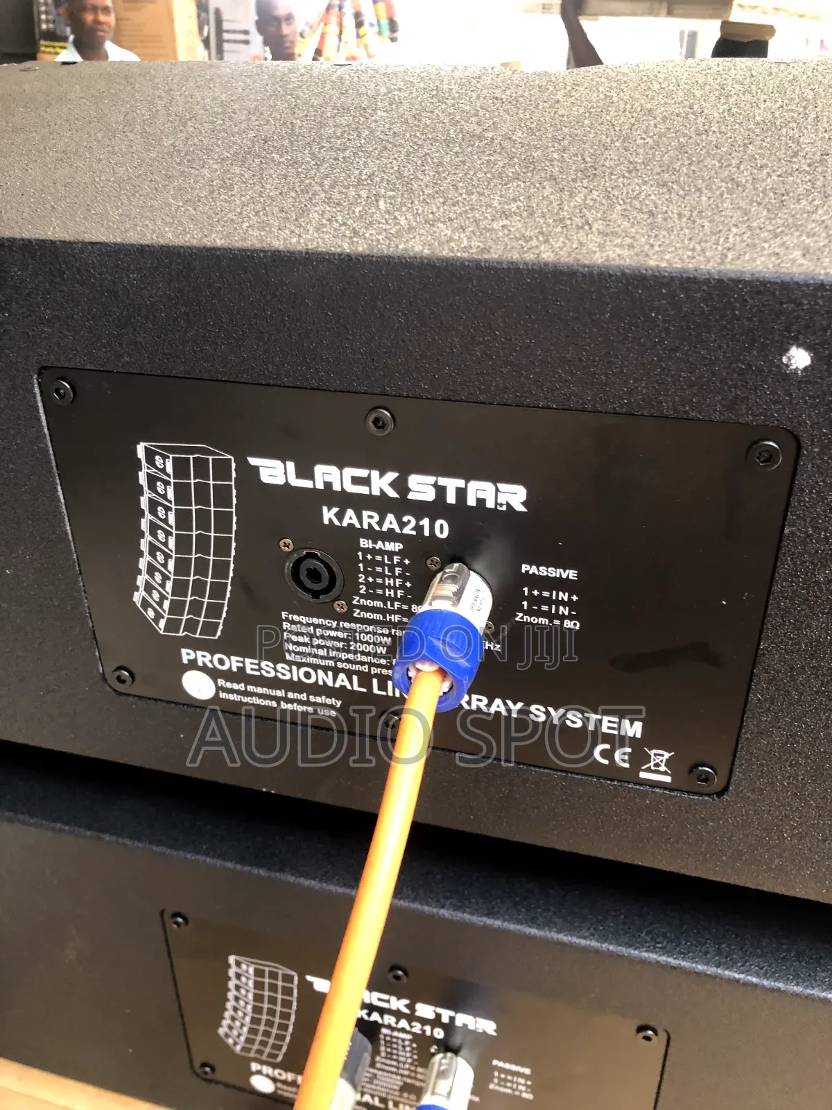 Black Star Kara-210 Professional Line Array