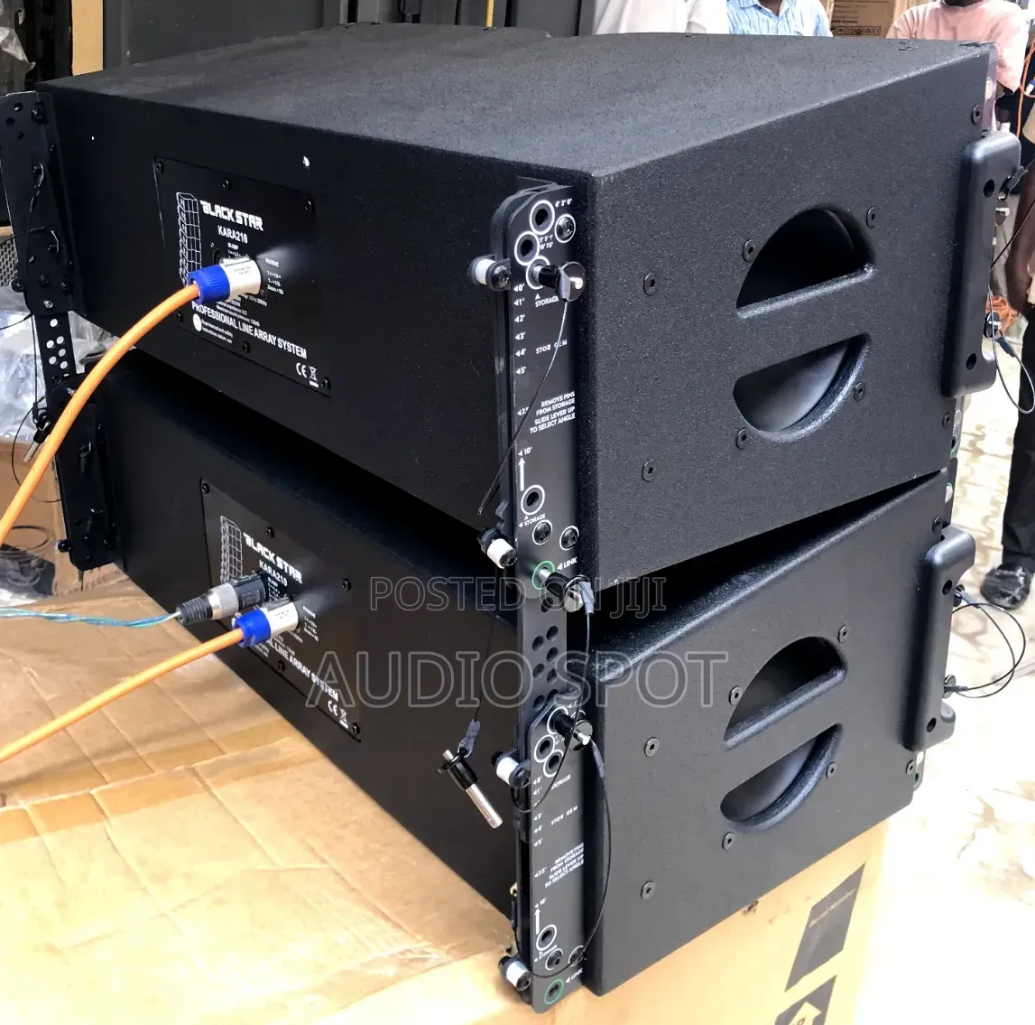 Black Star Kara-210 Professional Line Array