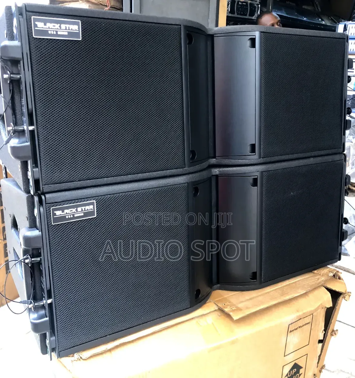 Black Star Kara-210 Professional Line Array