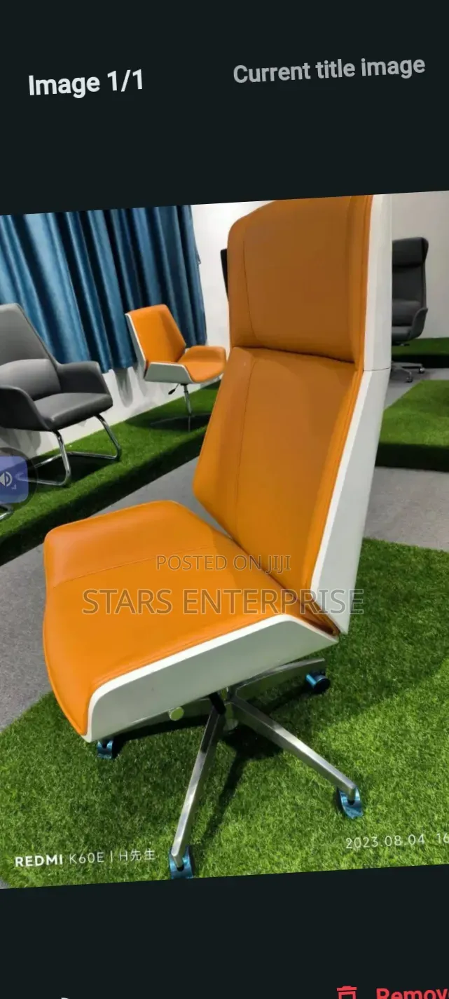 Office Chair / Swivel Chair