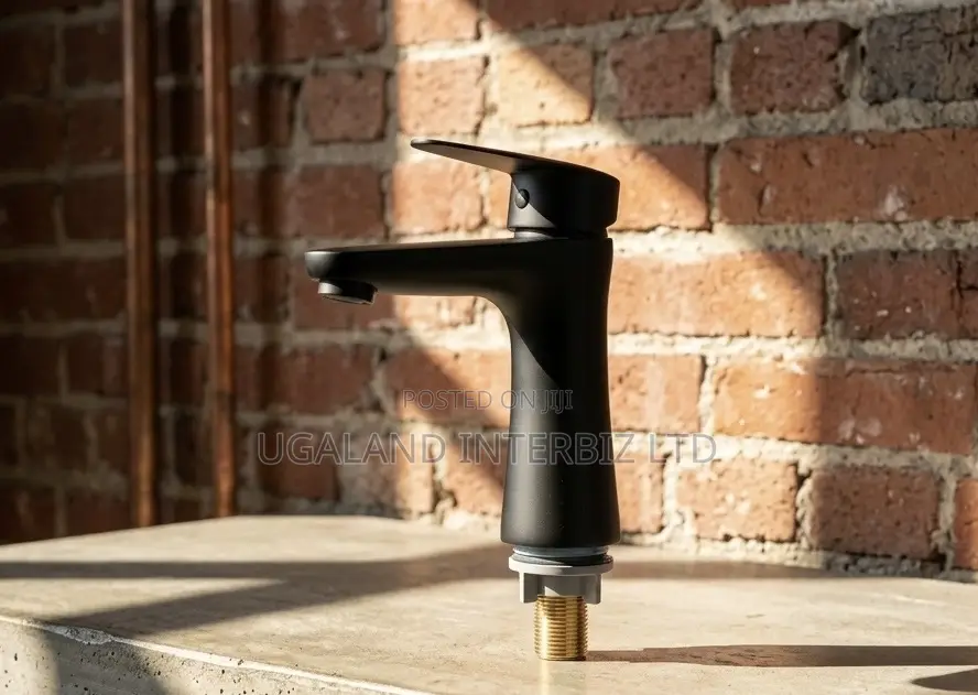 Elite Black Single Bathroom Faucet
