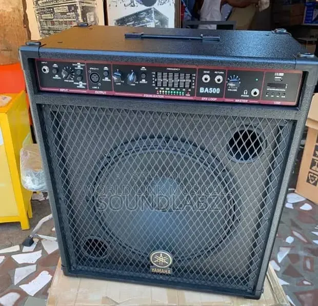 Professional Bass Combo