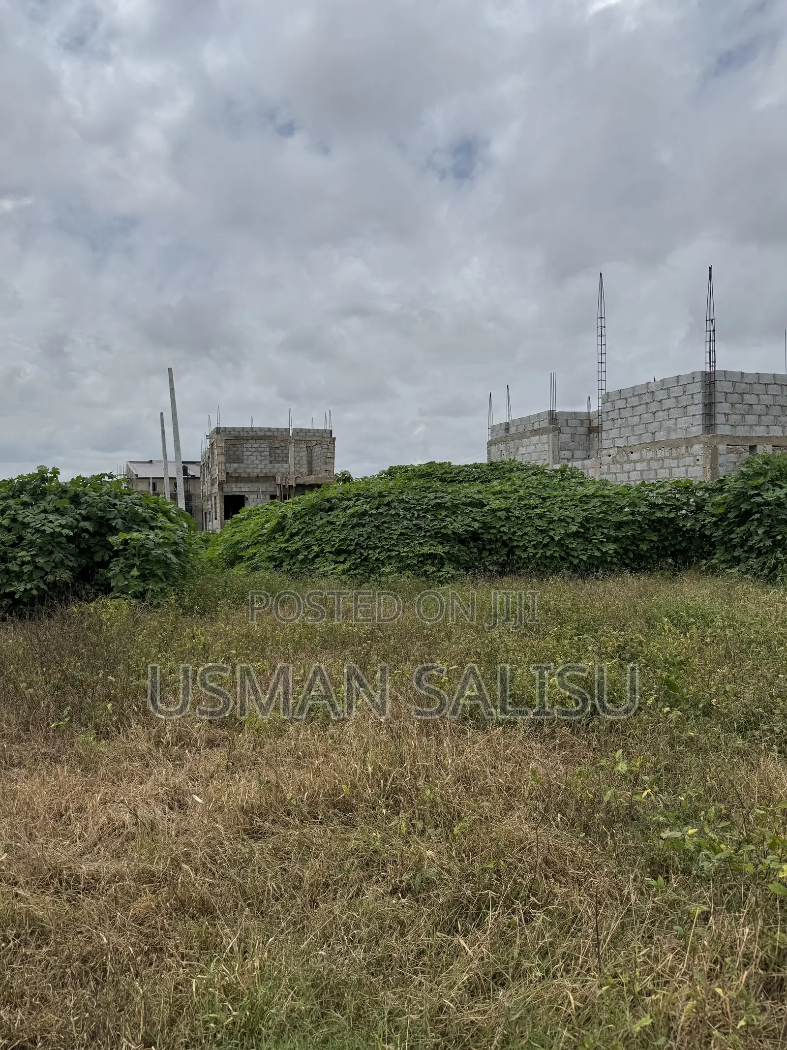 Mass Housing