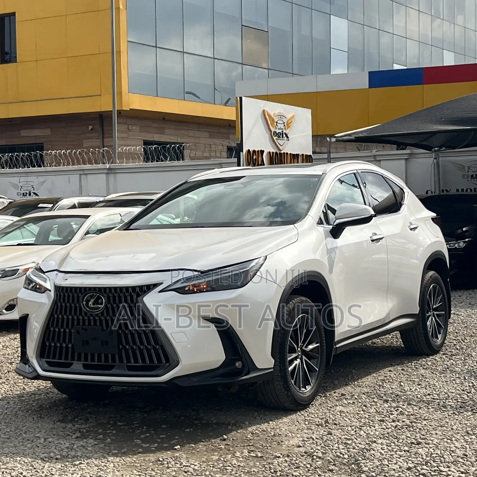 Lexus NX 350h AWD 2024 White