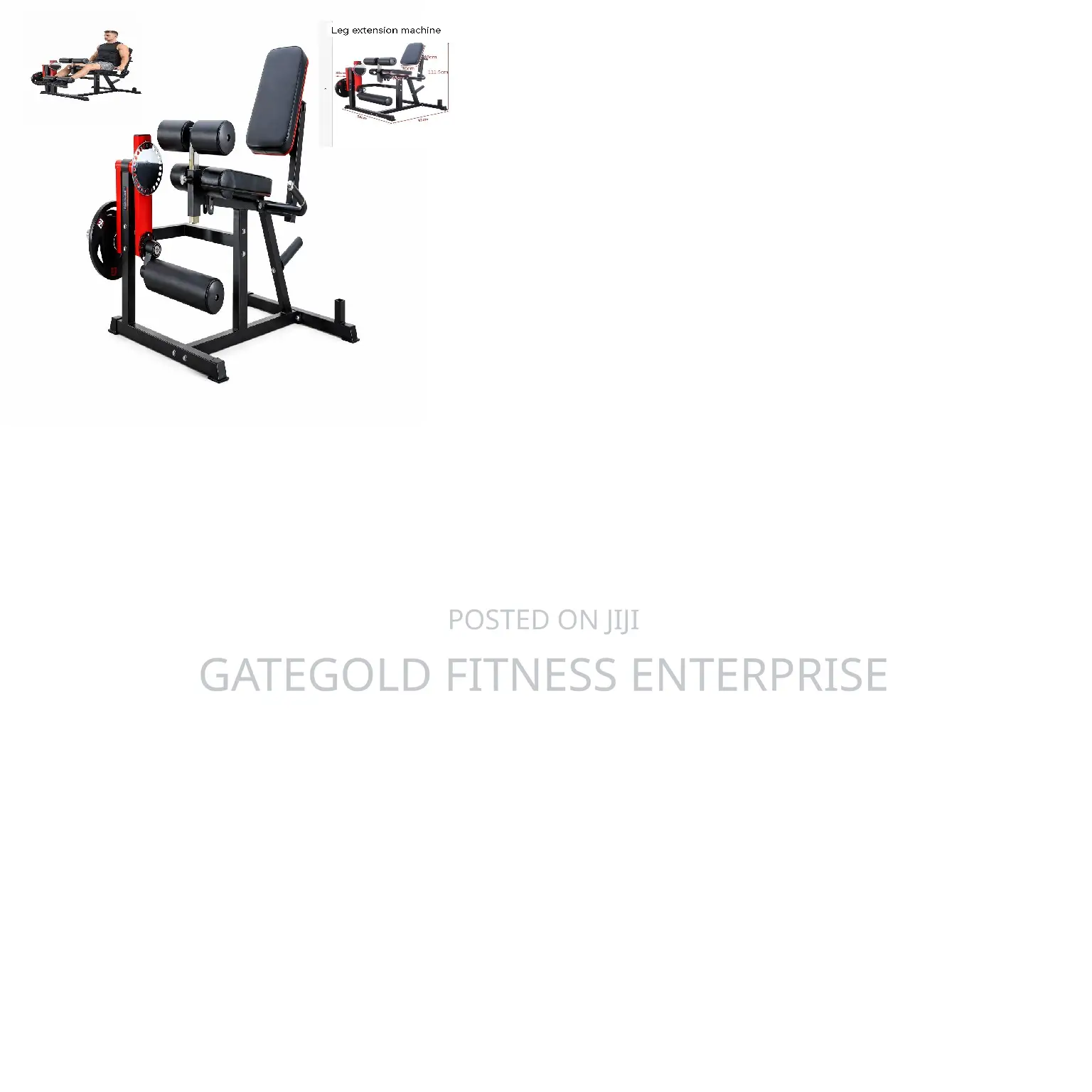 Lc00a Leg Extension Leg Curl Semi Commercial Techno Fitness Brand