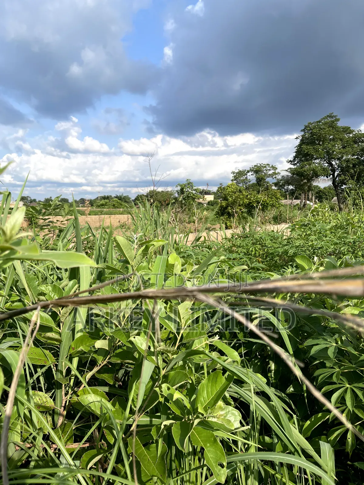 Land for Sale at Ugwumo Enugu State