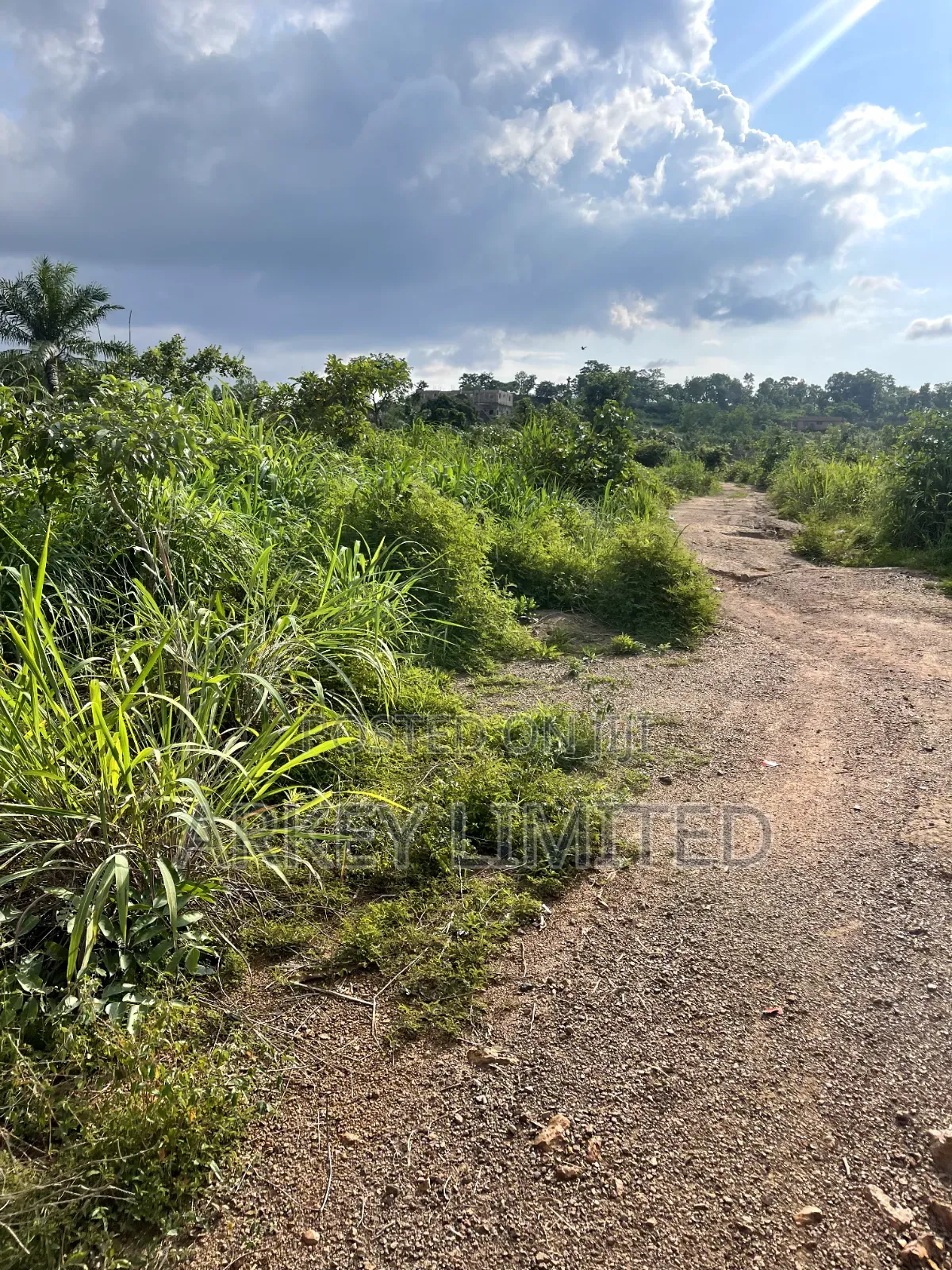 Land for Sale at Ugwumo Enugu State