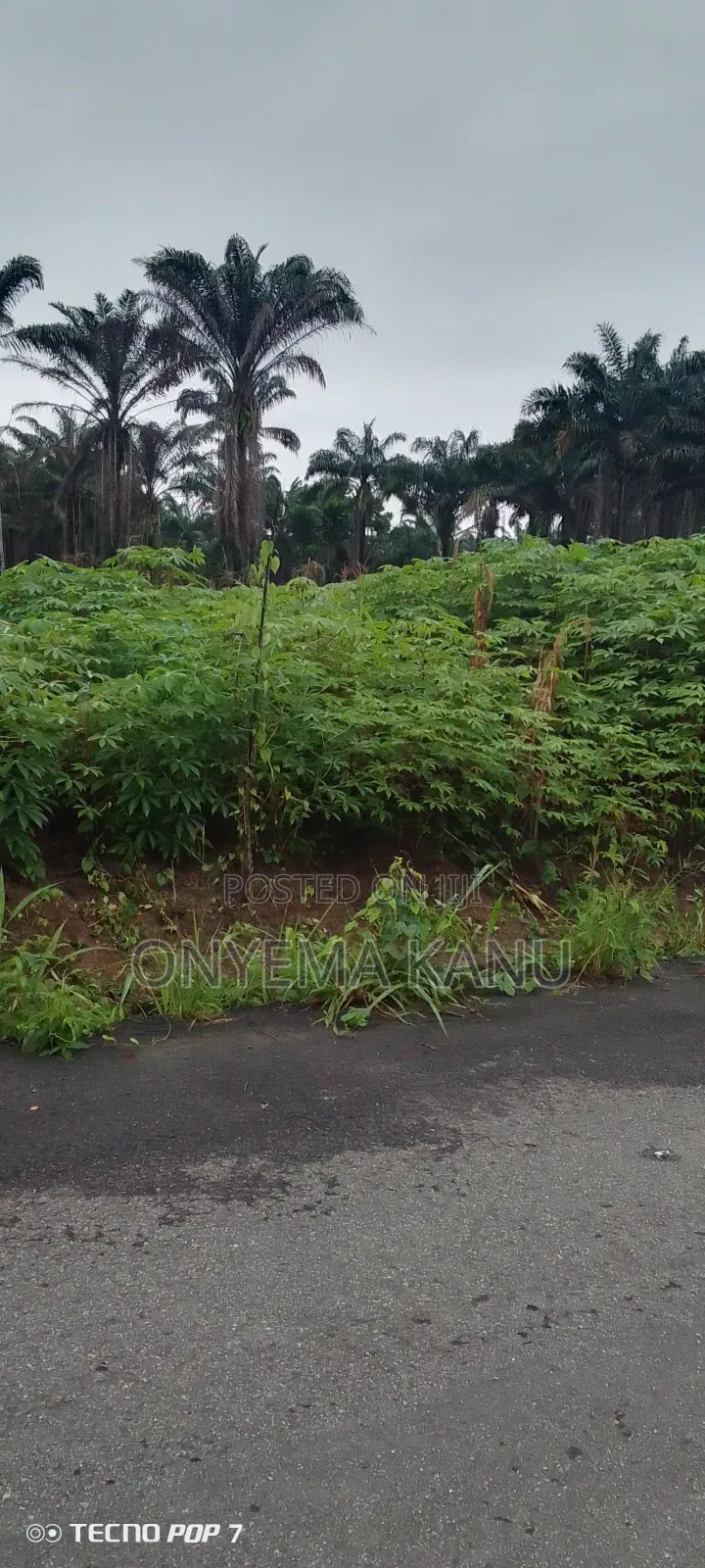 100 Plots Near Express for a Ready Buyer.