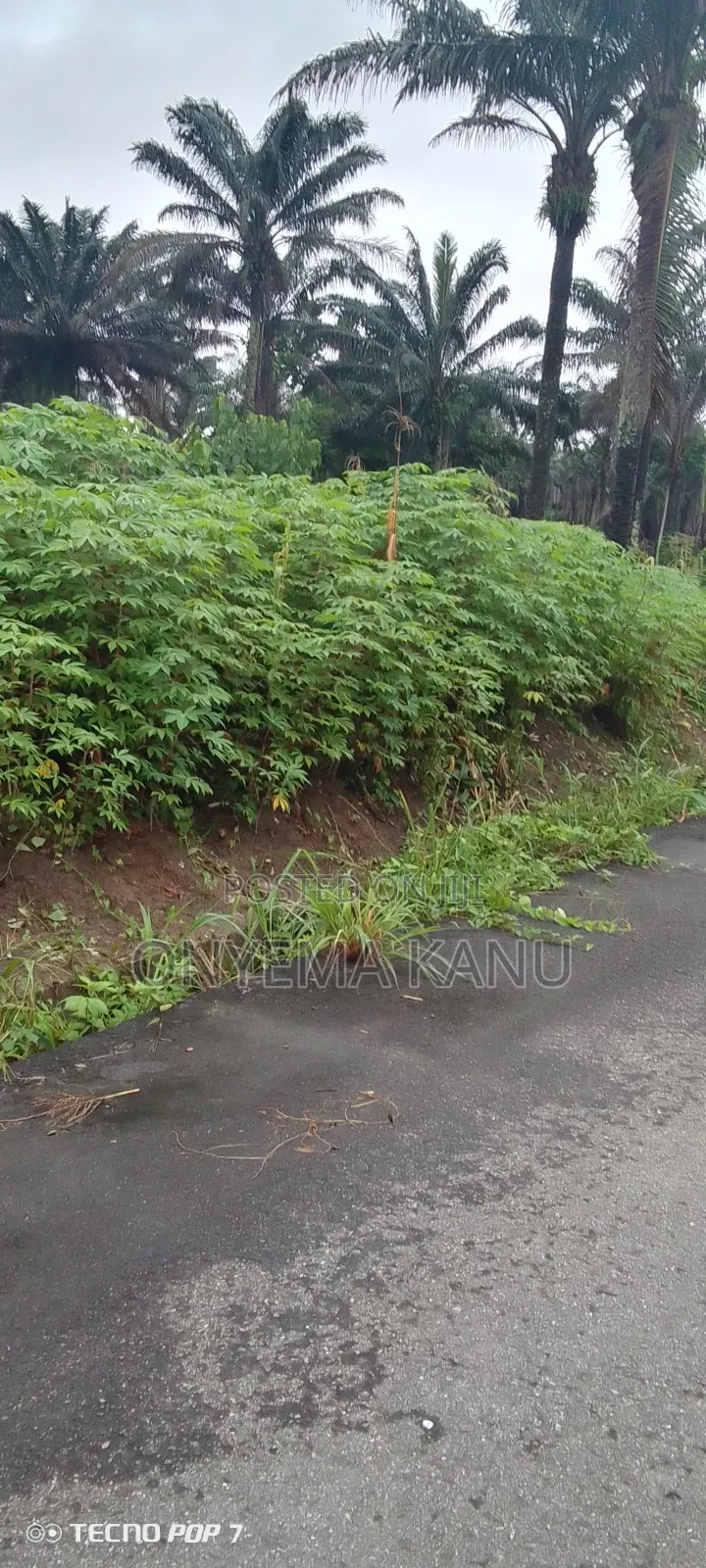 100 Plots Near Express for a Ready Buyer.