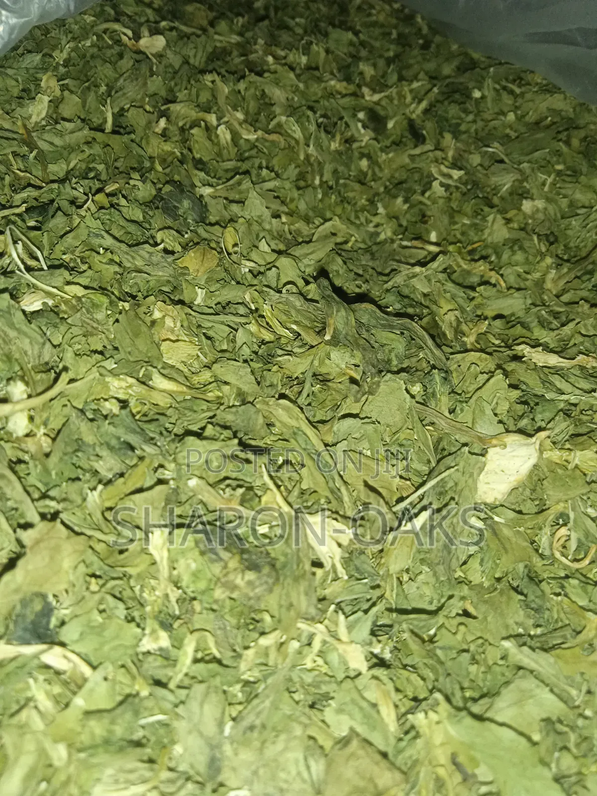 Celery Leaves 100g
