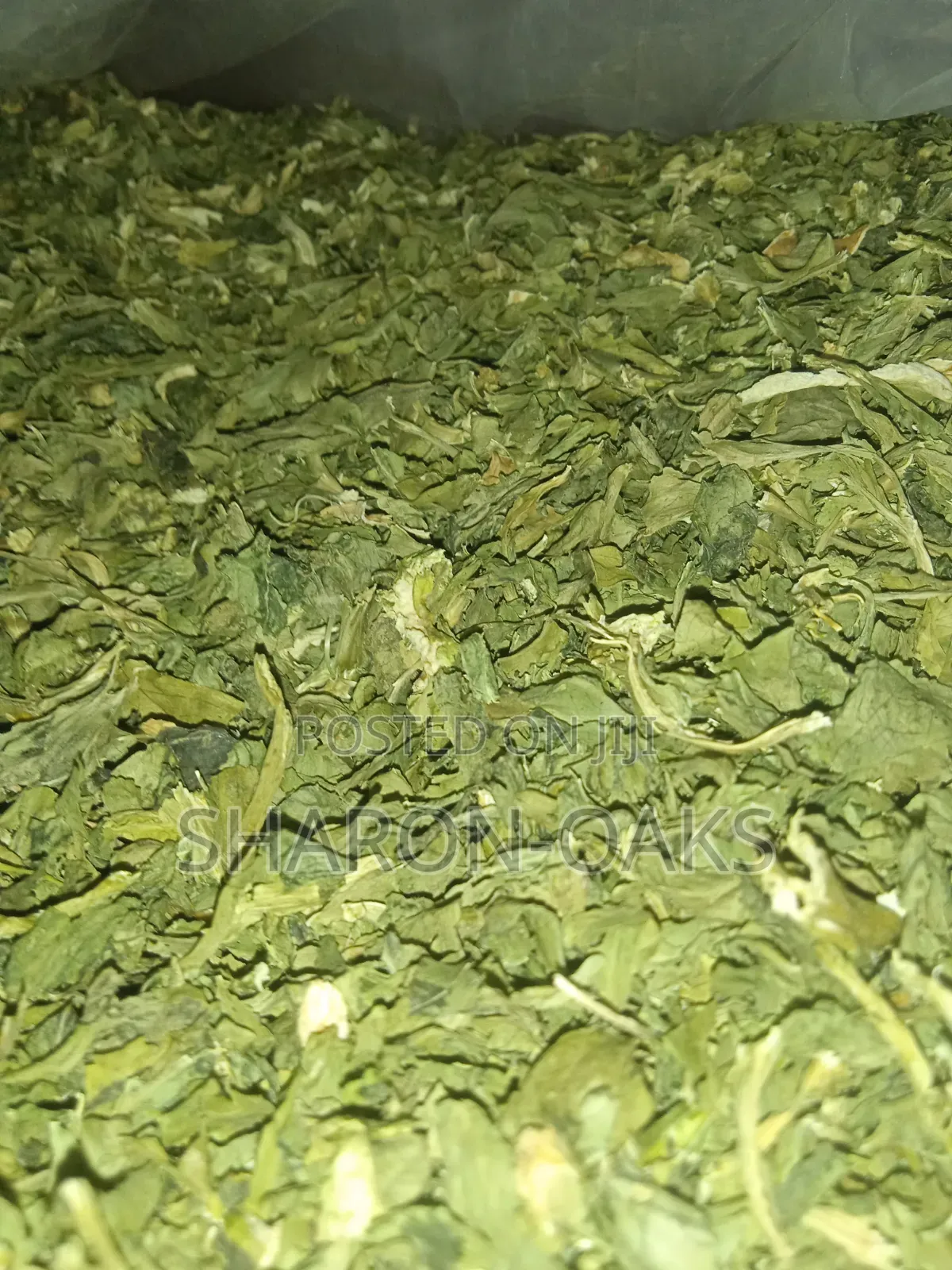 Celery Leaves 1kg