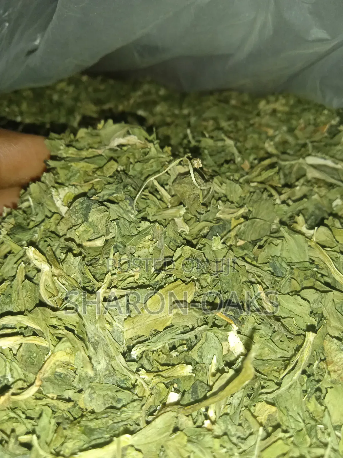 Celery Leaves 1kg