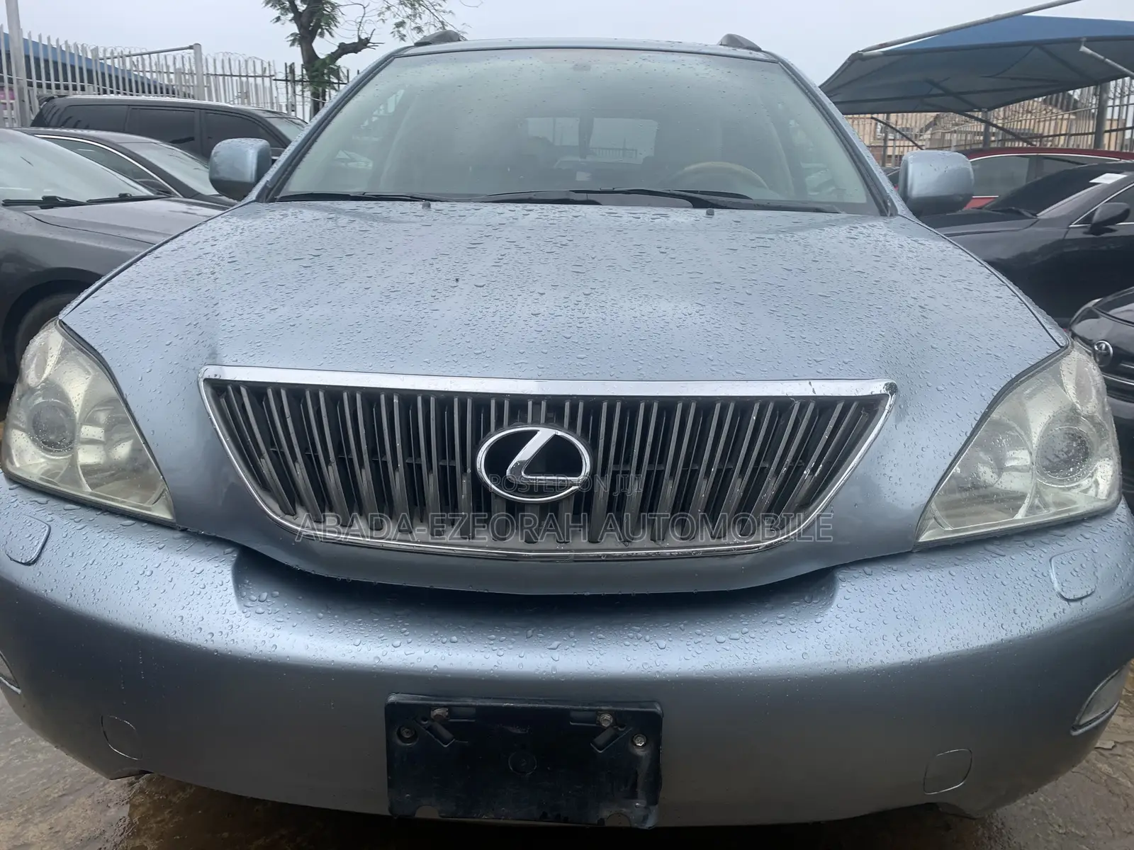 Lexus RX 330 4WD 2005 Blue