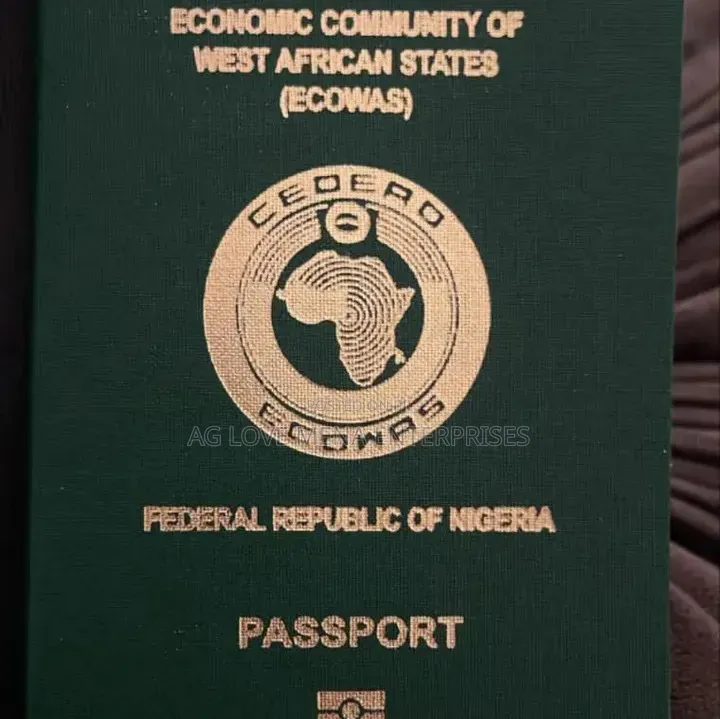 International Passport(Fresh Application/Renewal)