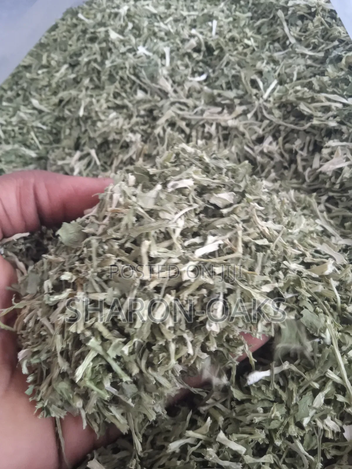 Cilantro Leave 1kg