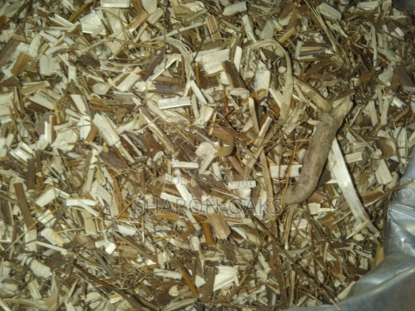 Lady's Mantle 100g