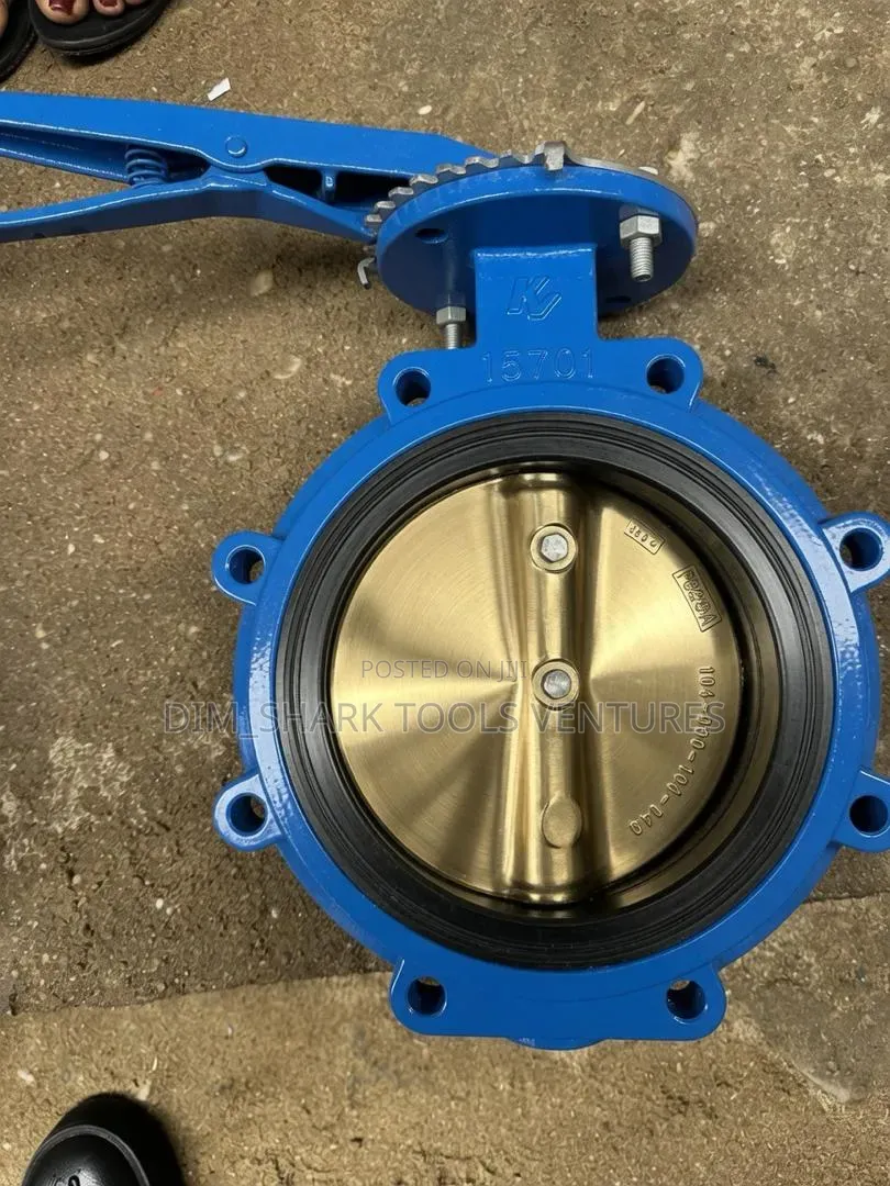 8"-Inch(Dn200)Brass Lug-Style Resilient-Seated Butterfly Valve