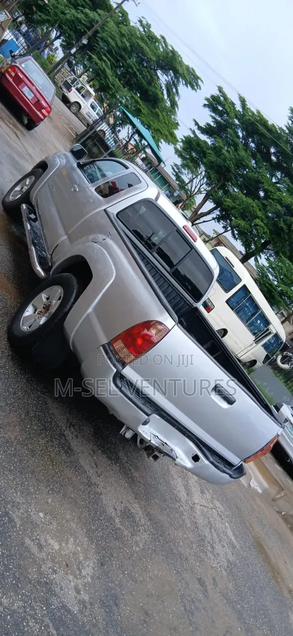 Toyota Tacoma 2010 Silver