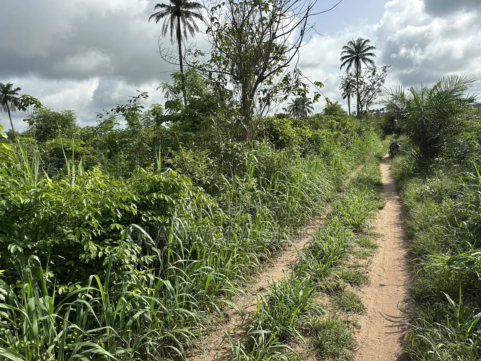 Land Good for Different Varieties of Crop and Animal Farmimg