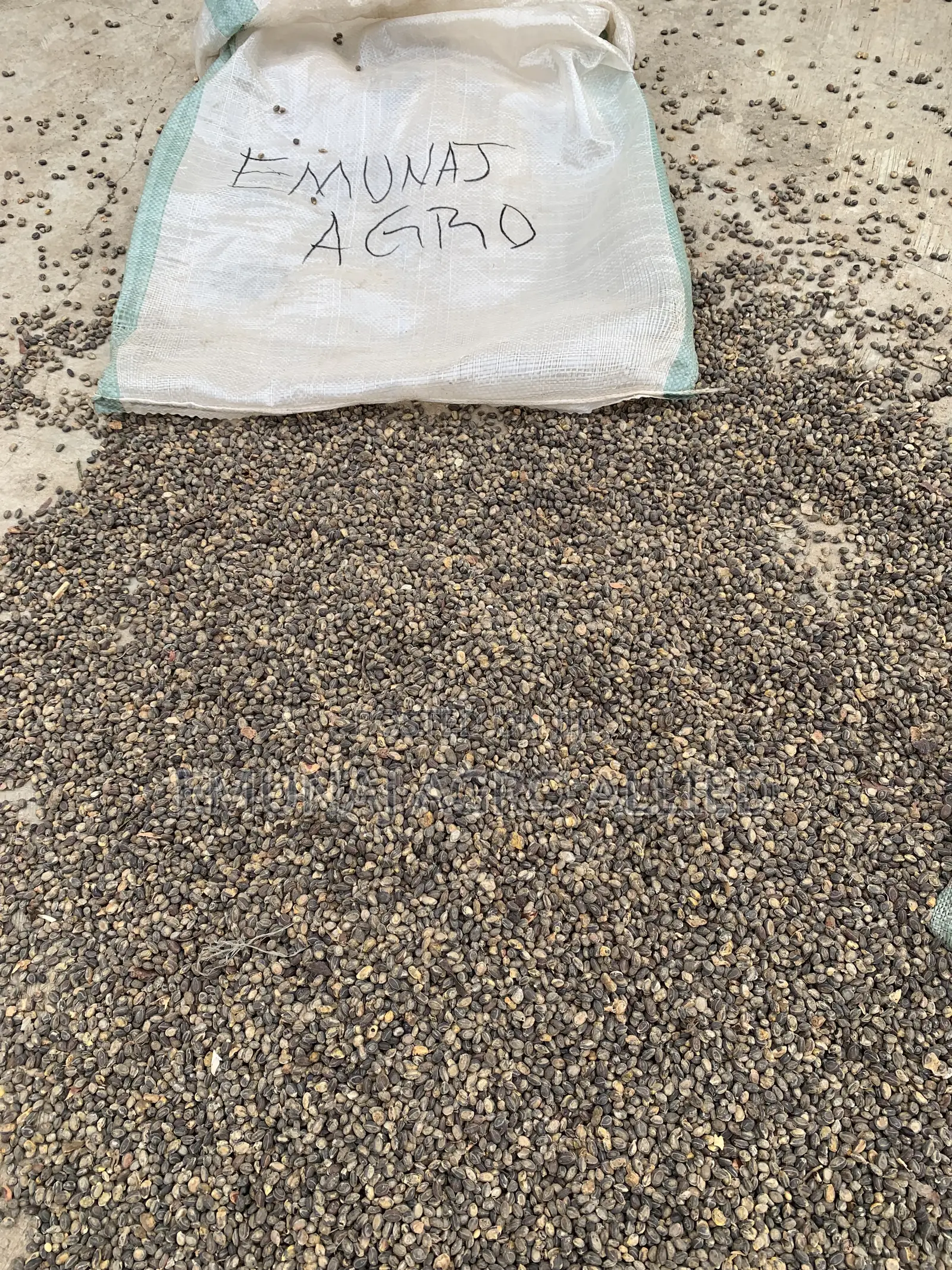 Locust Beans ( Iyere, Kaluwa)