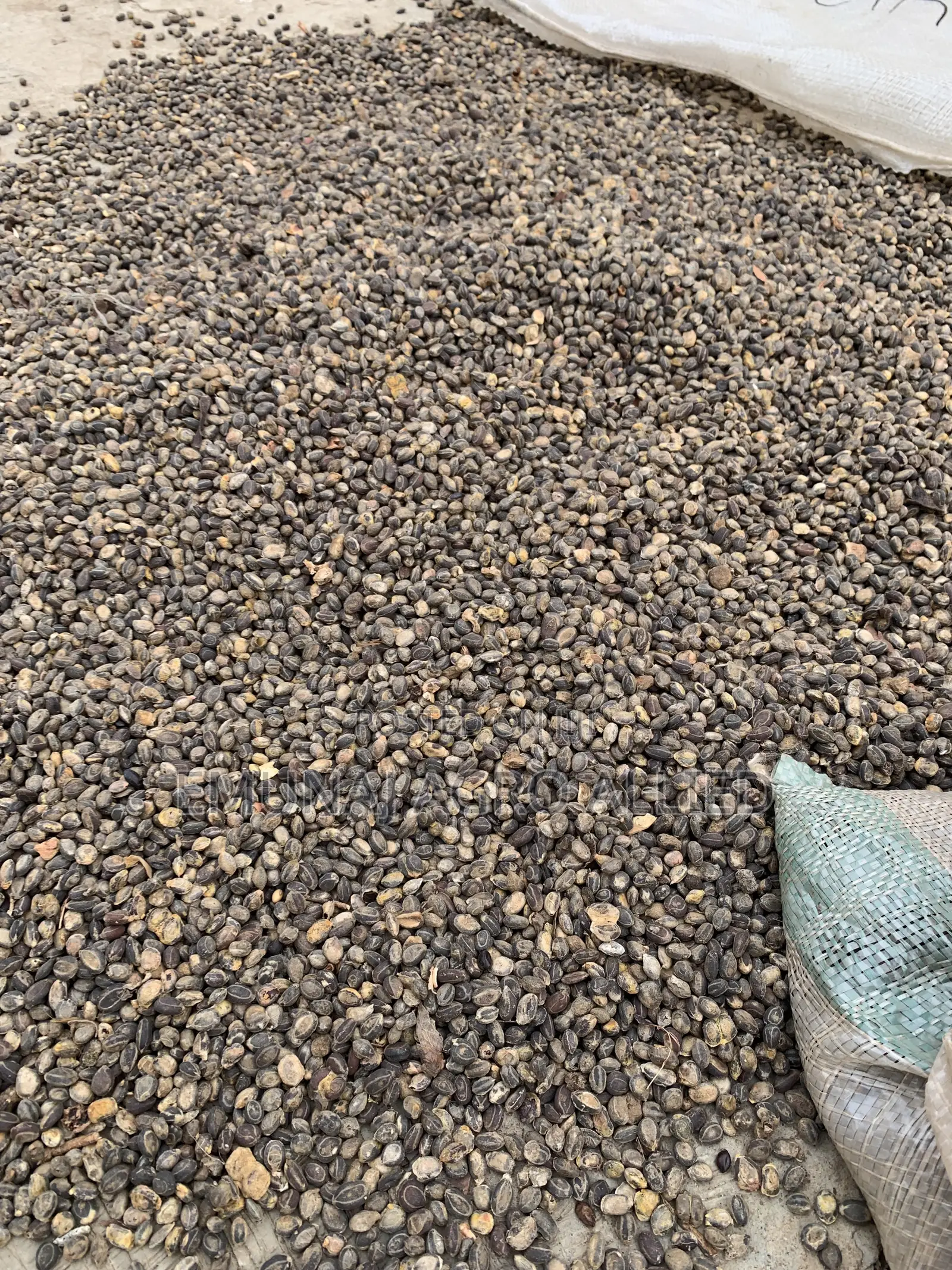 Locust Beans ( Iyere, Kaluwa)