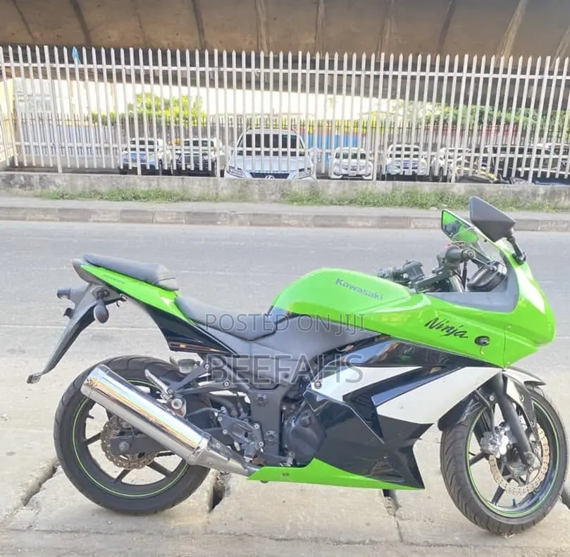 Kawasaki 2013 Green