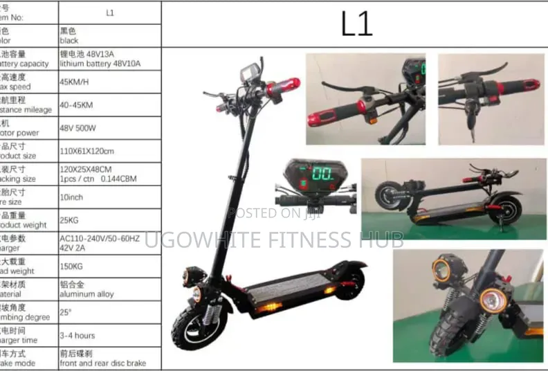 Electric Scooter