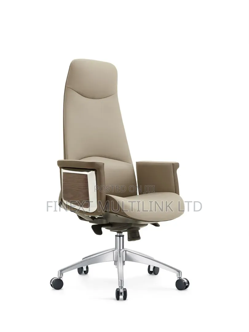 Executive Modern Office Chairs