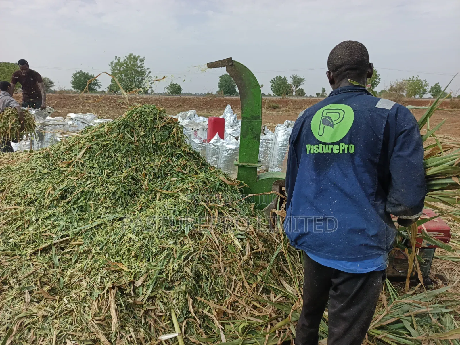 Silage Services