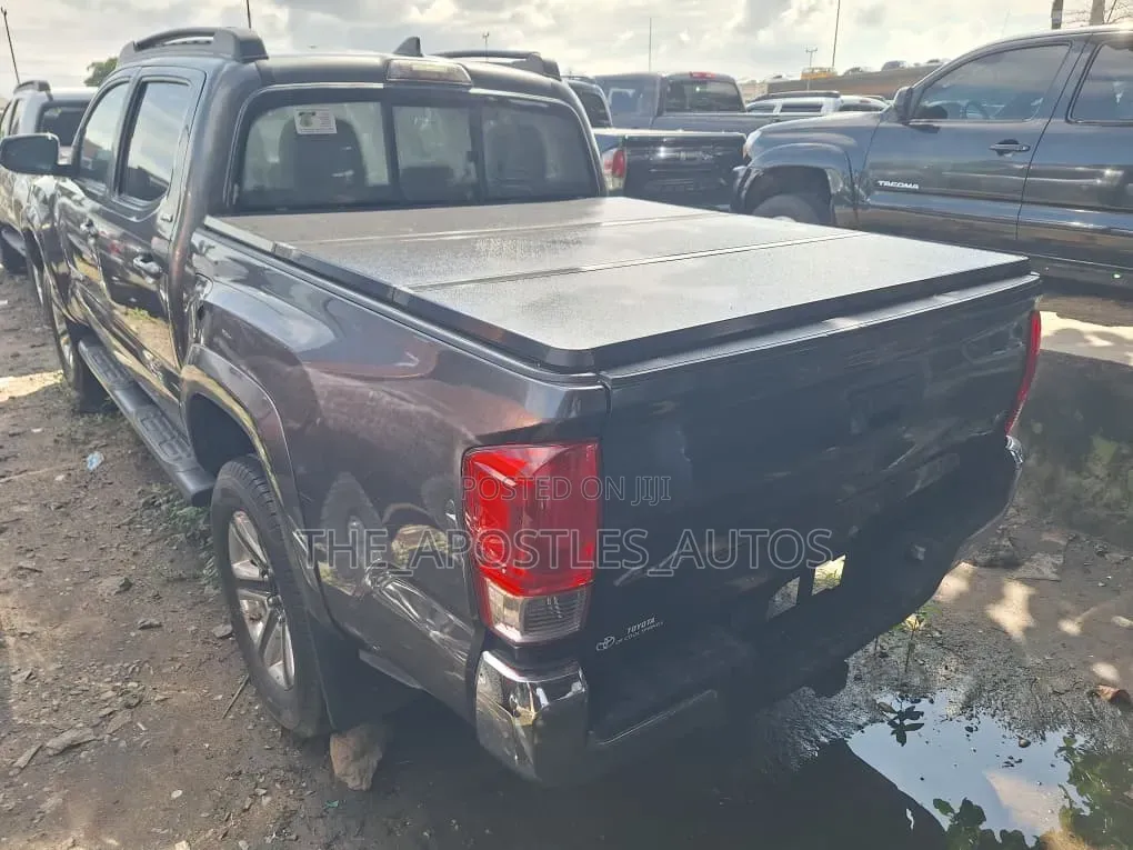Toyota Tacoma 2019 Gray